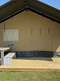 Tent house Glamping Deluxe 5p. type 2, Udenhout, Hart van Brabant, 