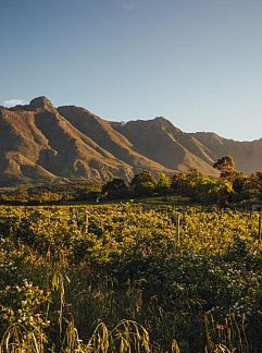 Appartement De Kloof Luxury Estate Hotel and Spa, Swellendam, West-Kaap, Zuid-Afrika