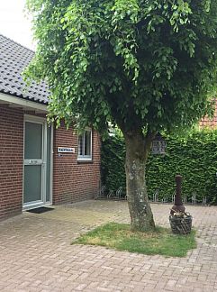 Bungalow Duinroos, Schoorl, Noordzeekust, 