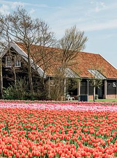 Chalet de Horizon, Burgerbrug, Noordzeekust, 