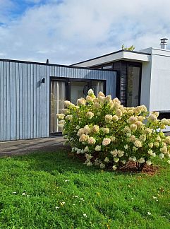 Holiday property Vrijstaande woning in Noord-Holland, Nederland, Velsen-Zuid, Noordzeekust, 