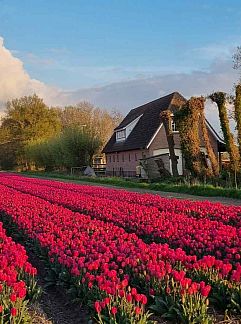 Ferienhaus Vakantiehuis in &apos;t Zand, 't Zand, Noord-Holland noord, 