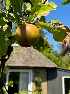 Vakantiewoning Klein Dijkrijk, Krabbendam, Noord-Holland noord, 