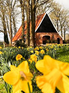 Zimmer mit Frühstück Erve Fakkert, Rossum, Twente, 