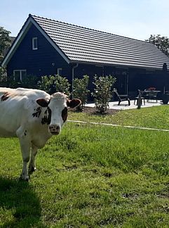 Ferienhaus Vakantiehuisje in Olst, Olst, Salland, 