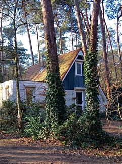 Vakantiewoning River Cottage (4 persoons), Ommen, Vechtstreek, 