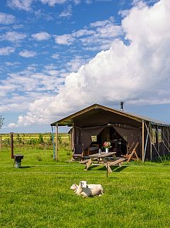 Tent house Minicamping Hoekvliet, Gapinge, Walcheren, 