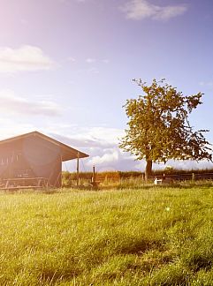 Holiday property Vrijstaande vakantiewoning voor 4 personen met zicht op de, Groot Valkenisse, Walcheren, 