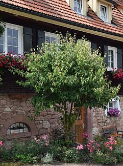 Ferienhaus Vakantiehuis in Baiersbronn Ortsteil Schwarzenberg, Baiersbronn, Baden-Württemberg, Deutschland