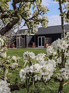 Vakantiewoning Huisje in Sommeldsijk, Sommelsdijk, Goeree-Overflakkee, 