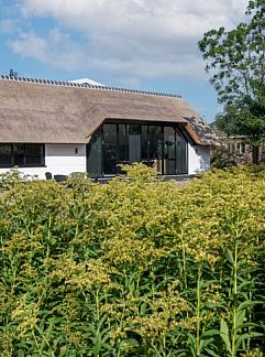 Ferienhaus Vakantiehuis in Aarlanderveen, Aarlanderveen, Groene hart, 