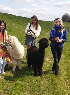 Logement de vacances Huisje in Nederasselt, Nederasselt, Rijk van Nijmegen, 