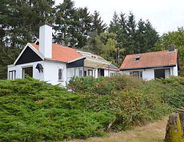 Huis in het bos