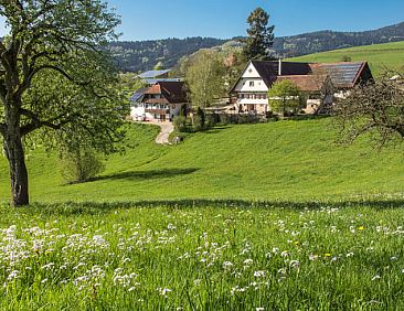 Vakantiehuis in Oberharmersbach