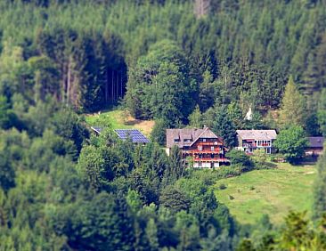 Vakantiehuis in Triberg