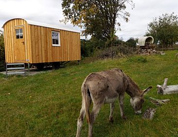 Huisje in Baden-Württemberg - Fichtenau bei Dinkelsbühl