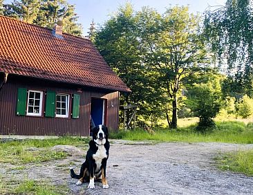 Huisje in Wernigerode