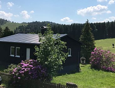 Huisje in Willingen