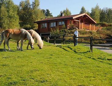 Vakantiehuisje in Arnsberg