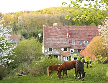 Vakantiehuis in Kalletal-Heidelbeck