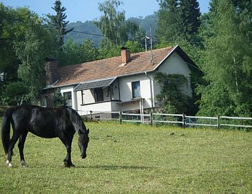 Vakantiehuisje in Honerath