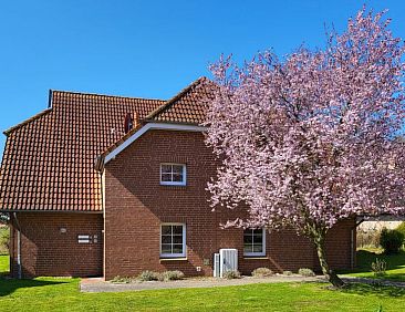 Appartement im Dörp