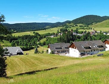 Appartement Schwarzwaldblick IV