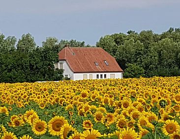 Vakantiehuisje in Castell