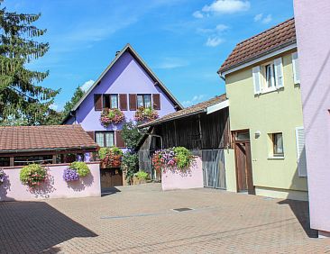 Appartement Résidence jaune et rose