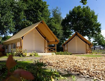 Vakantiehuis Glampingtent Kiezel Lodge 4