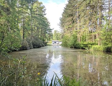 Huisje in Kasterlee