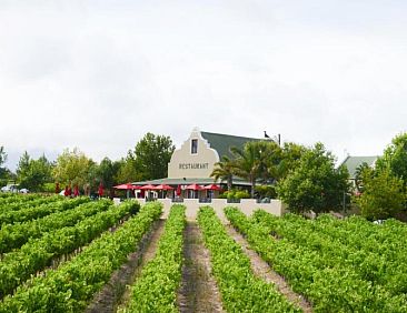 Skilpadvlei Wine Farm