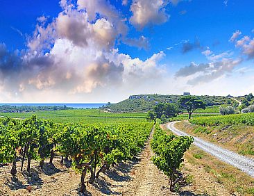 Appartement Les Vendanges