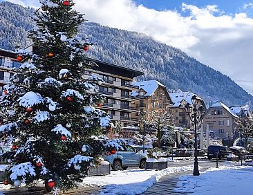 Appartement Les cimes blanches