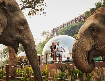 Anantara Golden Triangle Elephant Camp &amp; Resort - SHA Certif