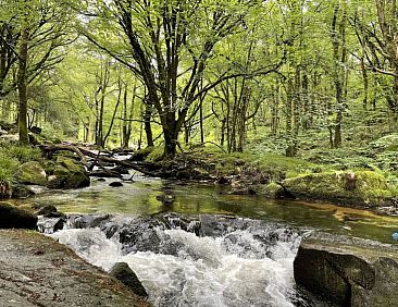 Vakantiehuis Kingfishers Haven