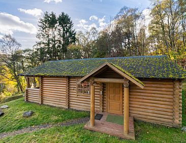 Vakantiehuis Bear Cabin