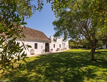 Cortijo El Indiviso