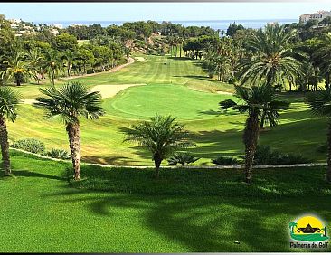 Palmeras del Golf - Torrequebrada