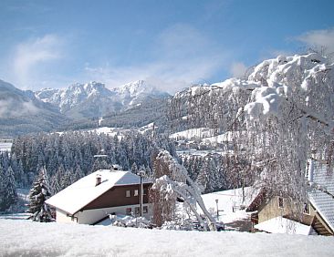 Appartement Zollerhof (OLA190)