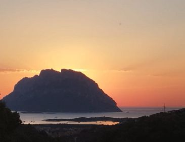 Vakantiehuis in Porto San Paolo