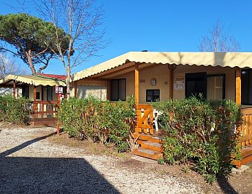 Comfort campingchalet Paradiso 028 | Toscane | Bij zee 