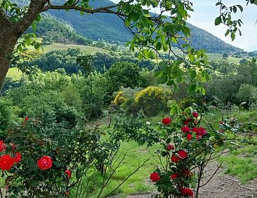 Vakantiehuis in Assisi