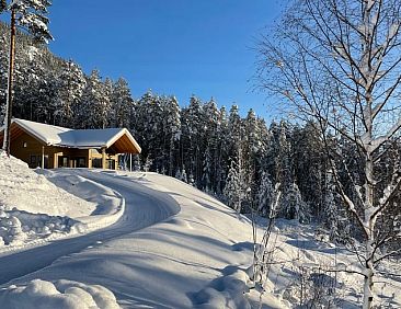 Vakantiehuisje in Vrådal