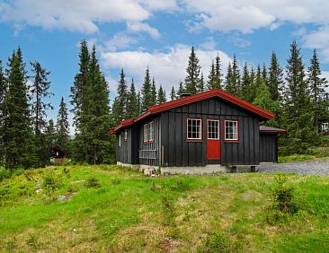 Vakantiehuis Liaråket