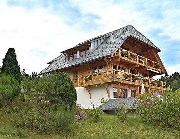 Lovely Apartment in Dachsberg-Urberg with Roof Terrace