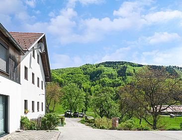 Farmhouse Apartment Scheibbs