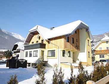 Alpensteinbock Mauterndorf I