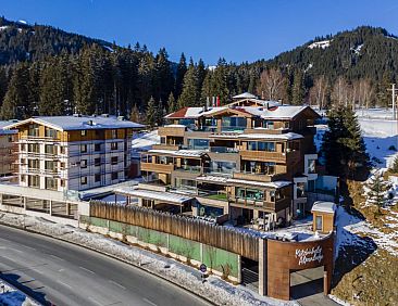 Kitzbüheler Alpenlodge Top A3