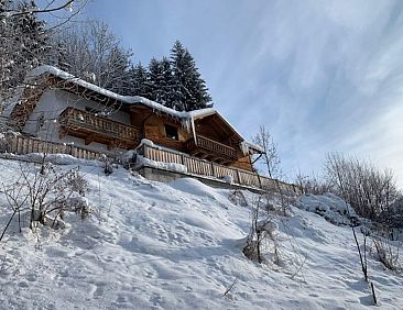 Chalet Salzach